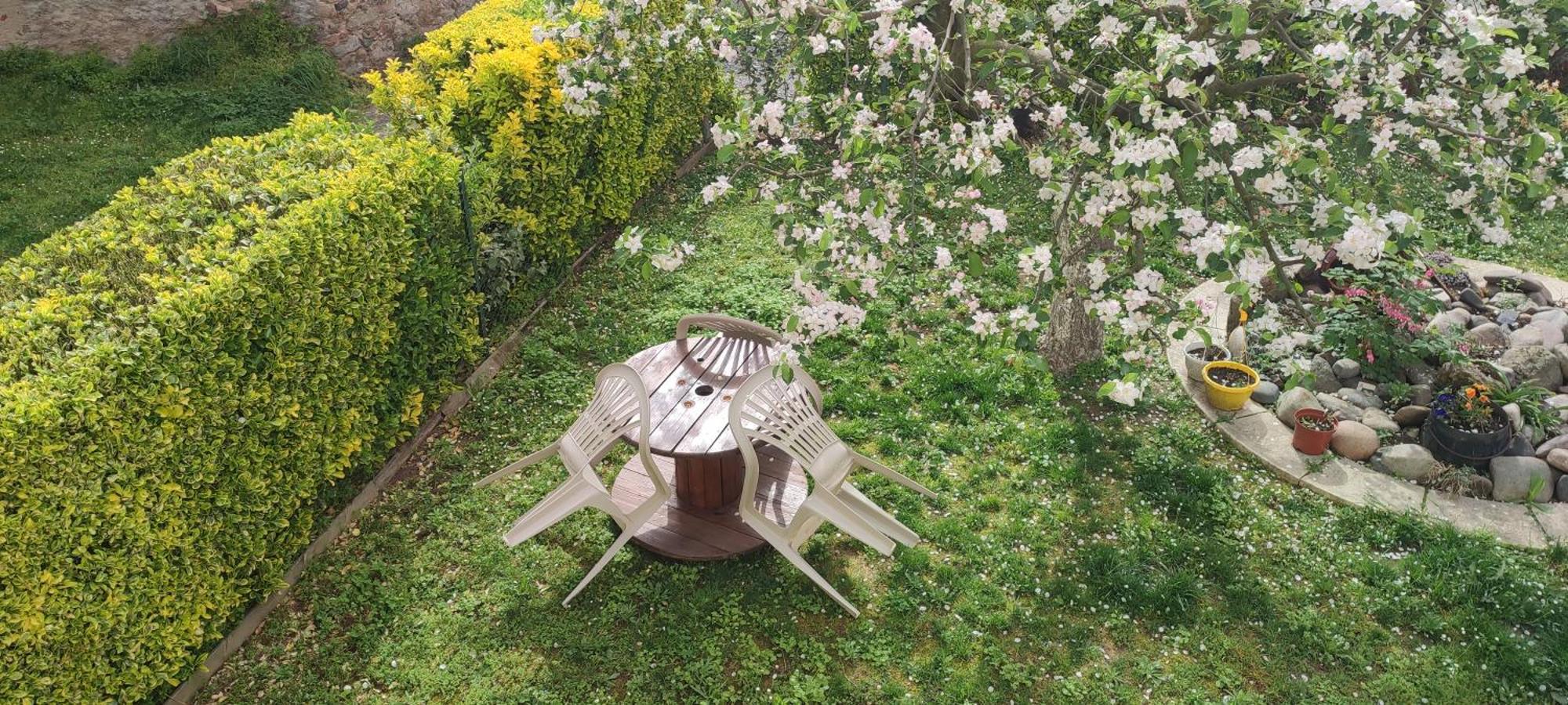 La Maison Du Pecheur Livinhac-le-Haut Bagian luar foto